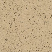Paint & Finishes image