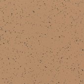 Paint & Finishes image