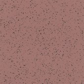 Paint & Finishes image