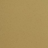 Paint & Finishes image