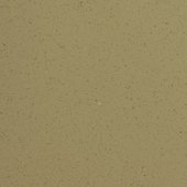 Paint & Finishes image