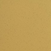 Paint & Finishes image