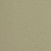Paint & Finishes image