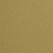 Paint & Finishes image