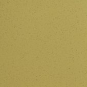 Paint & Finishes image