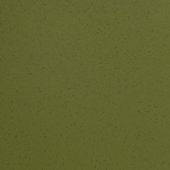 Paint & Finishes image