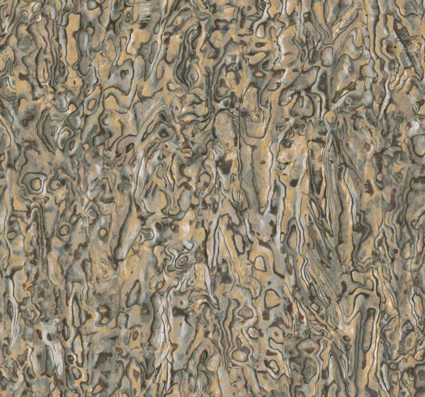 Featured Product Image