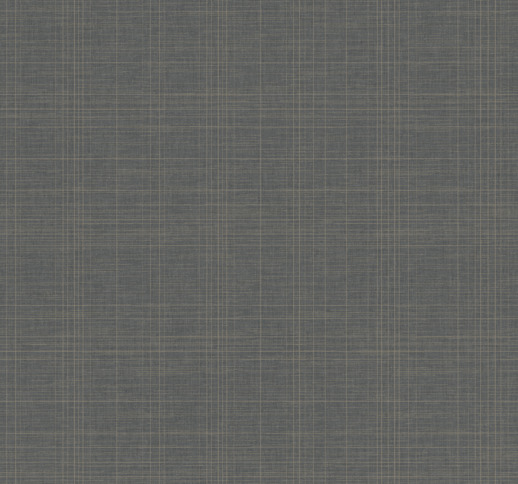  Thom Filicia Tussah Trace Charcoal