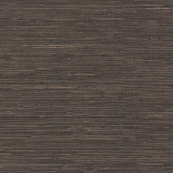 Featured Product Image