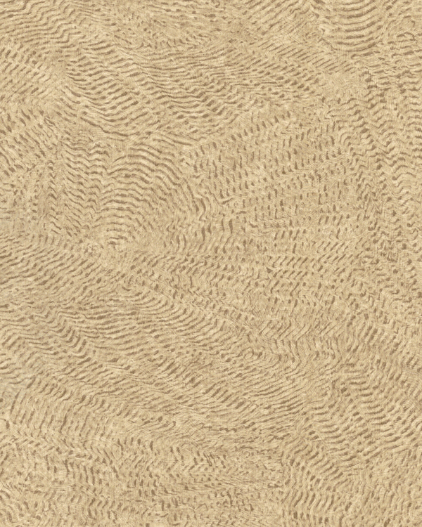 Featured Product Image