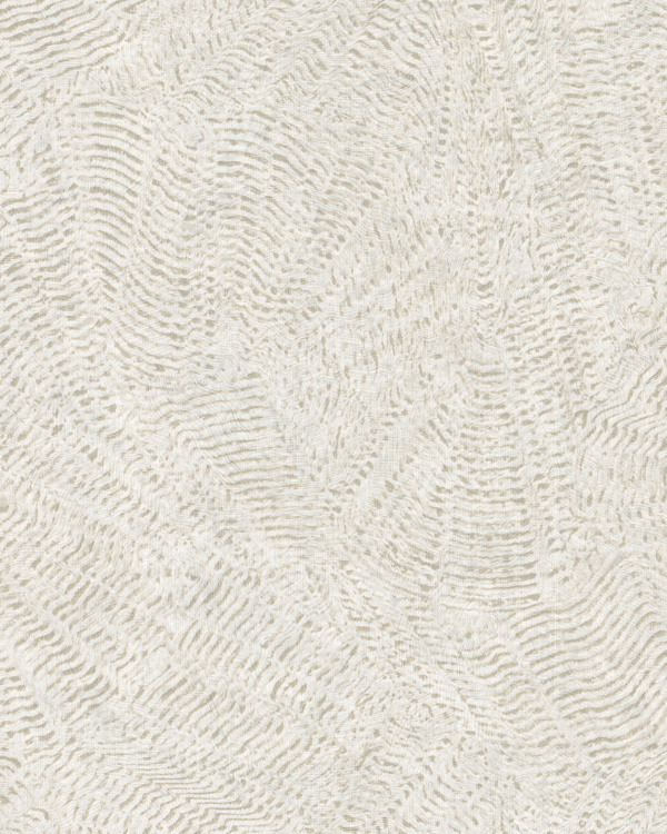 Featured Product Image