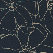 TNBL102 Sample
