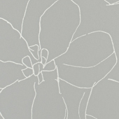 TNBL302 Sample