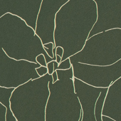 TNBL702 Sample