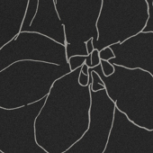 TNBL902 Sample