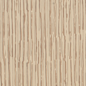 TNCR511 Sample
