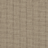 TNHN1003 Sample