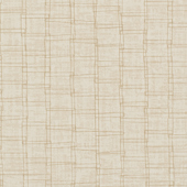 TNHN203 Sample