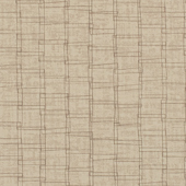 TNHN503 Sample