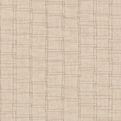 TNHN603 Sample