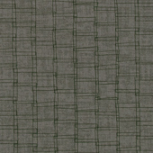TNHN703 Sample