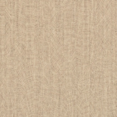 TNIM501 Sample