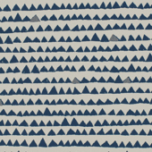 TNPY110 Sample