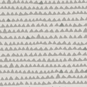 TNPY310 Sample