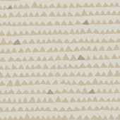 TNPY410 Sample