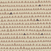TNPY510 Sample