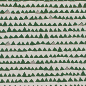 TNPY710 Sample