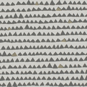 TNPY810 Sample