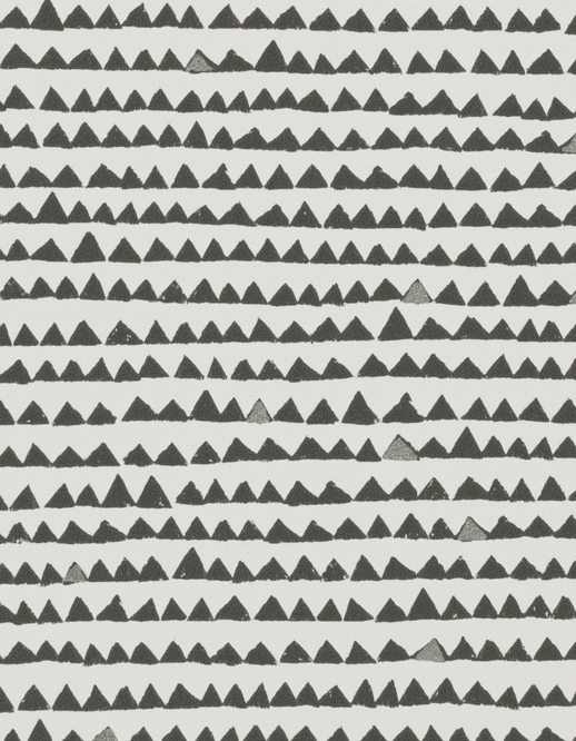  Taniya Nayak Pyramid Graphite