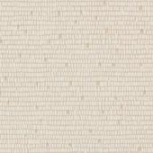 TNSO409 Sample