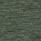 TNWV706 Sample