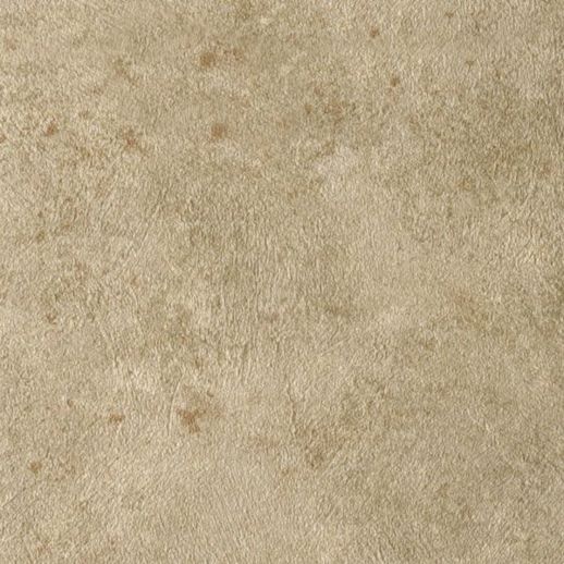  Genon Contract Chiasso Fresco