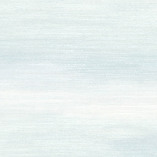  Genon Contract Horizon Clear Skies 