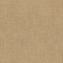 Cashmere Beige