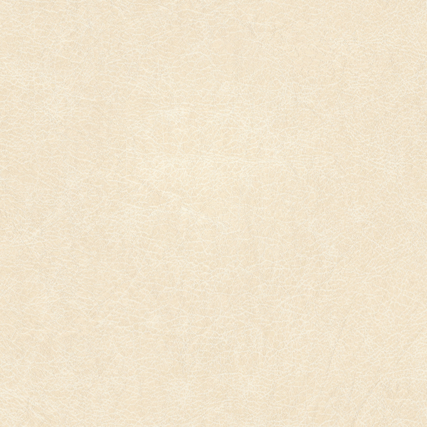 Featured Product Image