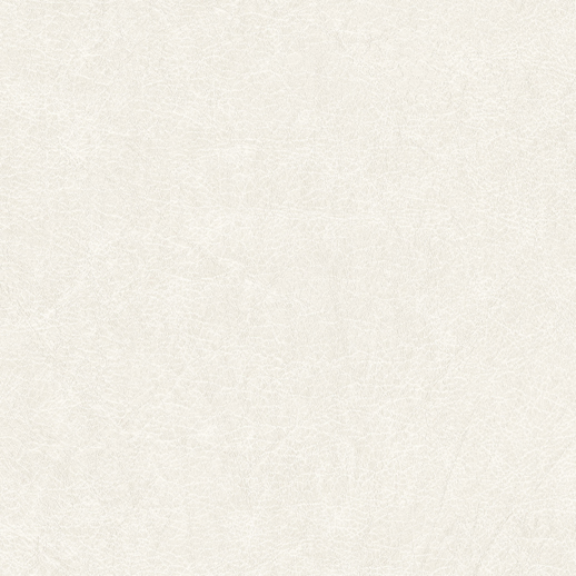  Genon Contract Saffian Leather Pegasus