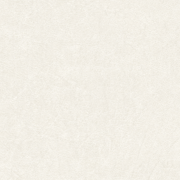 Featured Product Image