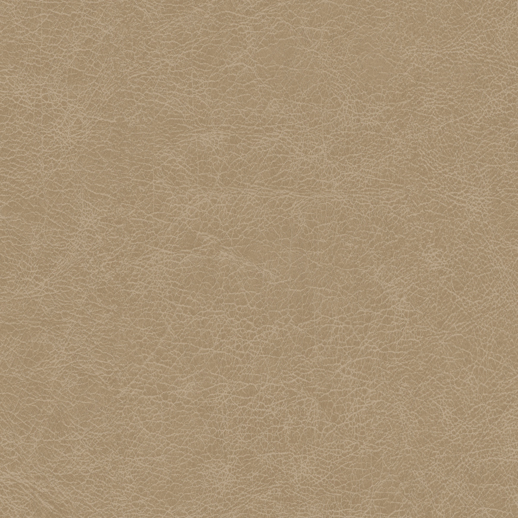  Genon Contract Saffian Leather Palomino