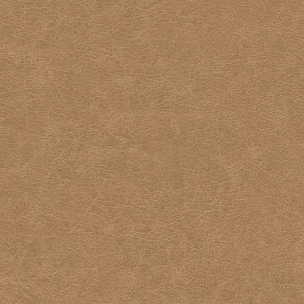 Featured Product Image