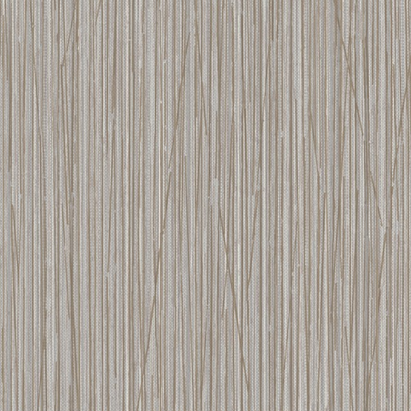 Featured Product Image