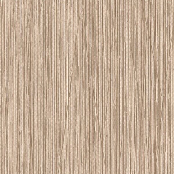 Featured Product Image