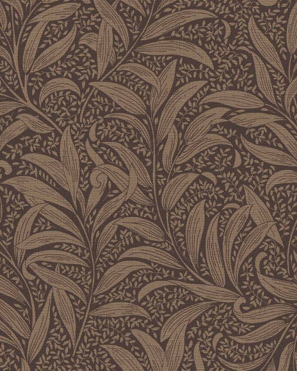 Featured Product Image