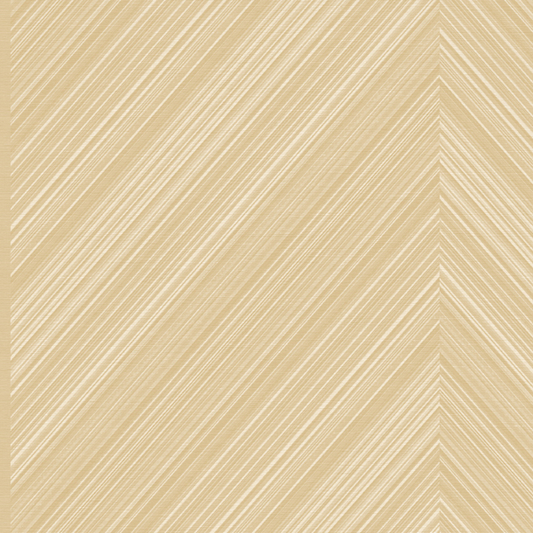 Featured Product Image