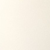 Paint & Finishes image