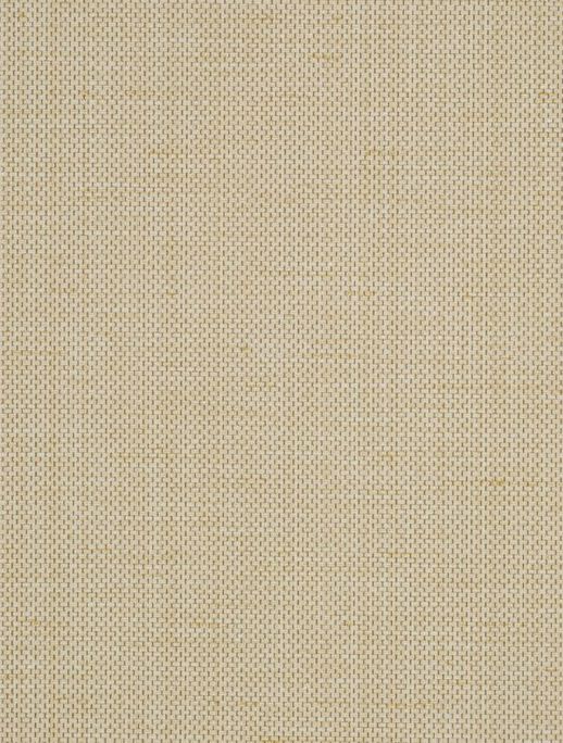  Vycon Contract Raising Cain Champagne Taste