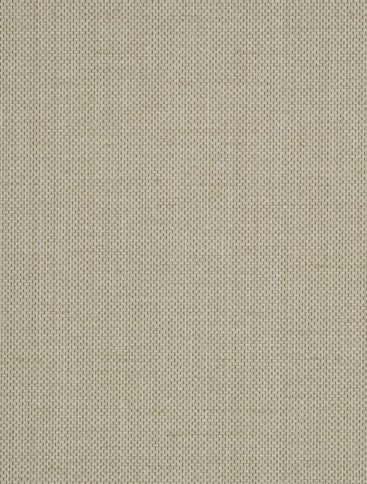  Vycon Contract Raising Cain Bungee Cord